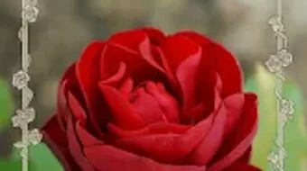 Imagem 0 para 