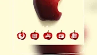 의 이미지 0