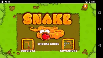 Classic Snake Game