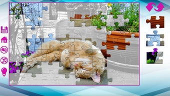 الصورة 0 لـ 