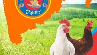 Bild 0 für 