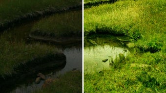 Изображение 0 для 