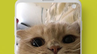 의 이미지 0