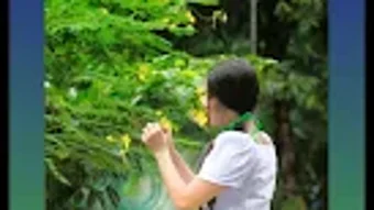 的第0张图片