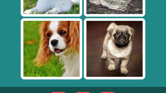 Изображение 0 для 