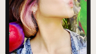 Immagine 0 per 