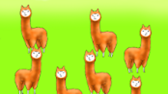 の画像0