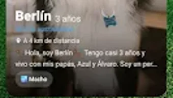 의 이미지 0