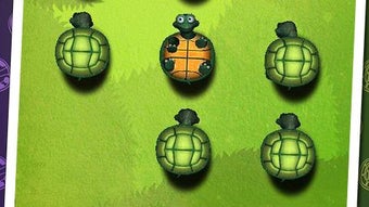 Turtles