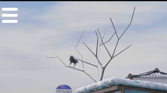 の画像0
