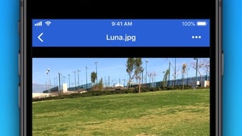 รูปภาพ 0 สำหรับ 