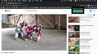 Bild 0 för 
