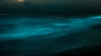 的第0张图片