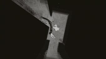 الصورة 0 لـ 