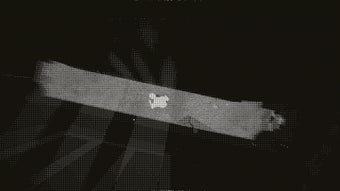 Image 0 for 