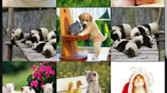 รูปภาพ 0 สำหรับ 