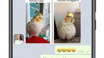 的第0张图片