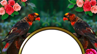 Изображение 0 для 