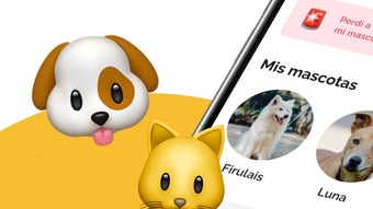 Bild 0 för 