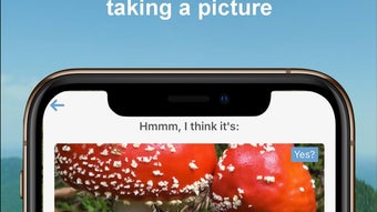 Immagine 0 per 