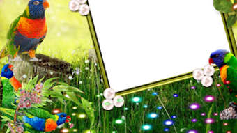 Imagem 0 para 