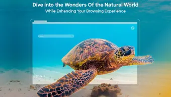Nature Wallpapers New Tab Theme