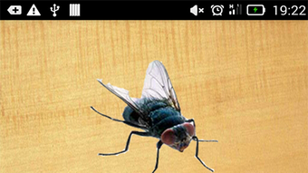 Gambar 0 untuk 