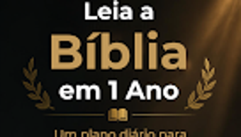 의 이미지 0