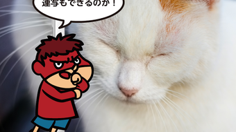 の画像0