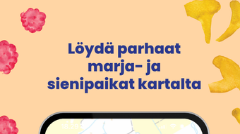 Bild 0 för 