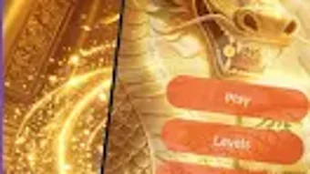 的第0张图片
