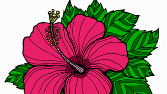 Flower Coloring Book Games