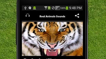 Real Animals Sounds