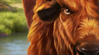 รูปภาพ 0 สำหรับ 