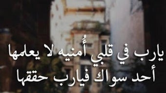 الصورة 0 لـ 