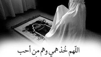Immagine 0 per 