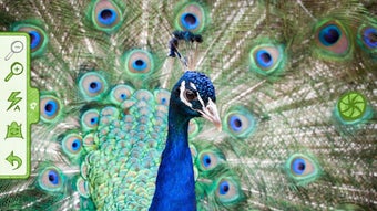 Afbeelding 0 voor 