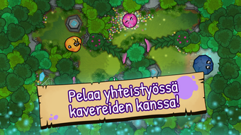 Bild 0 för 
