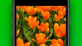  için 0 numaralı resim