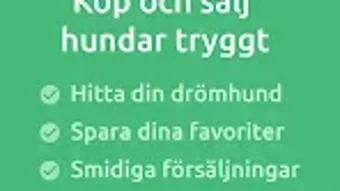 Bild 0 för 