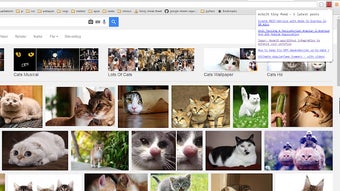 รูปภาพ 0 สำหรับ 