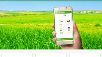 Mp Revenue App