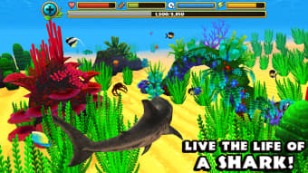 Wildlife Simulator: Shark