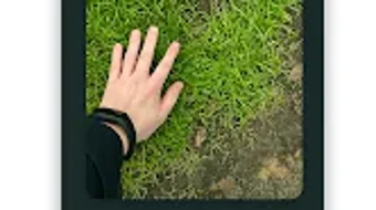 Изображение 0 для 