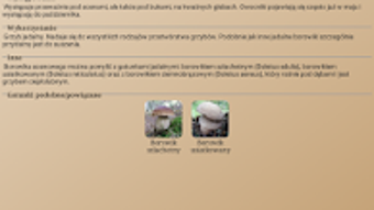 Obraz 0 dla 