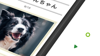 の画像0