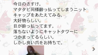 の画像0