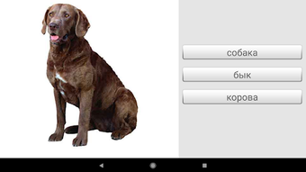 Изображение 0 для 