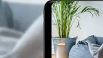 AnyPet Monitor - Cat  Dog Cam