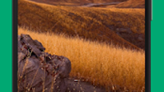 Изображение 0 для 